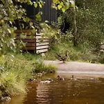 Mobil-home 35m² Avec Terrasse Pour 6 Personnes - Api-1-52-561 营地 Granges-Aumontzey