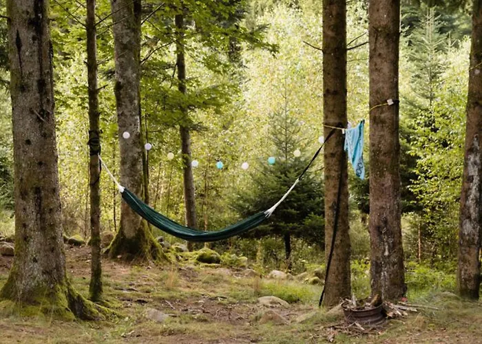 Mobil-home 35m² Avec Terrasse Pour 6 Personnes - Api-1-52-561 Kemping Granges-Aumontzey