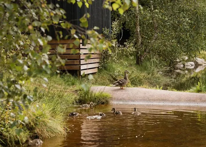 Mobil-home 35m² Avec Terrasse Pour 6 Personnes - Api-1-52-561 Kemp Granges-Aumontzey